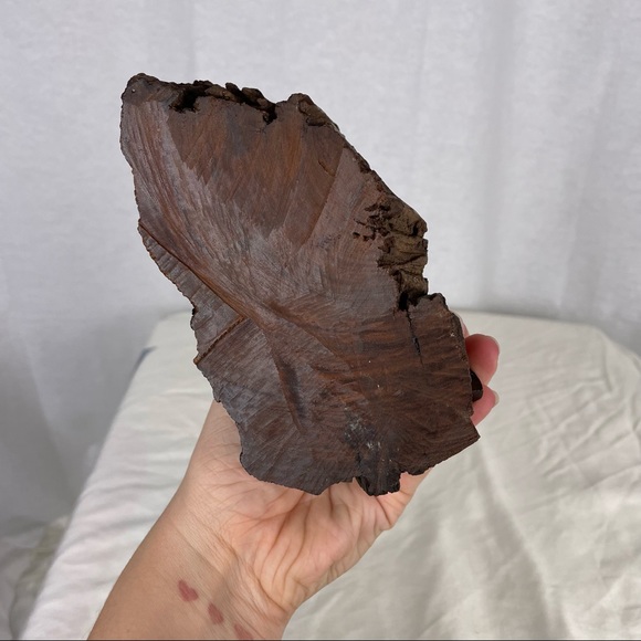 XL Wooden Dolphin Sculpture - Picture 5 of 5